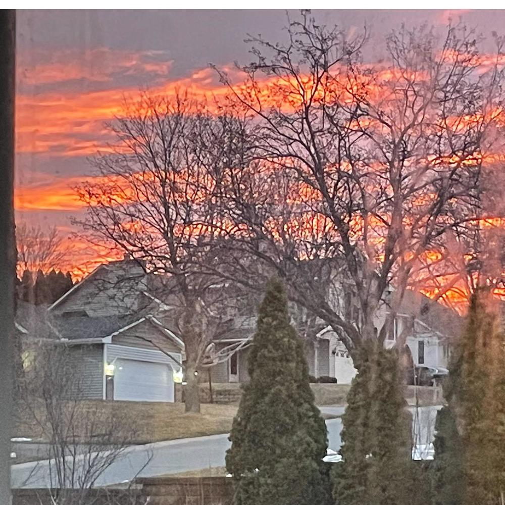 Meet your Posher, Jodi